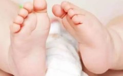 胚胎碎片揭秘：对试管婴儿着床的影响及降低碎片率策略—杰特宁