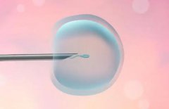 泰国CEF第三代试管婴儿成功率多少呢？2024试管花费明细表参考一览