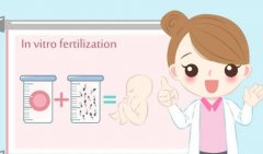 天津去泰国CEF做试管婴儿价目表，附成功率及费用详情