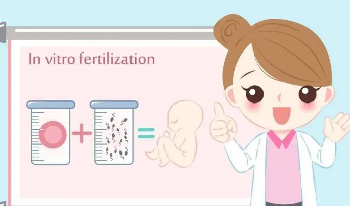 天津去泰国CEF做试管婴儿价目表-费用说明？（附成功率及费用详情）