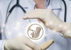 2024泰国CEF第三代试管婴儿新攻略指南，三代试管医院及费用详解