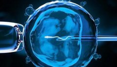 泰国CEF三代试管婴儿成功率有多少？附费用及成功率分享